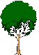 picture of a tree