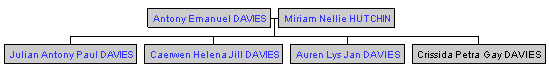 Mini tree diagram