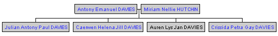 Mini tree diagram