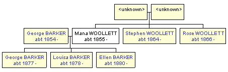 Mini tree diagram