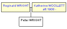 Mini tree diagram