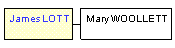 Mini tree diagram