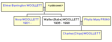 Mini tree diagram
