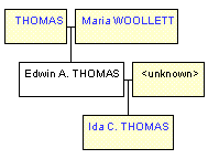 Mini tree diagram