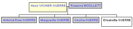 Mini tree diagram