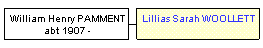 Mini tree diagram