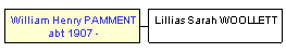 Mini tree diagram