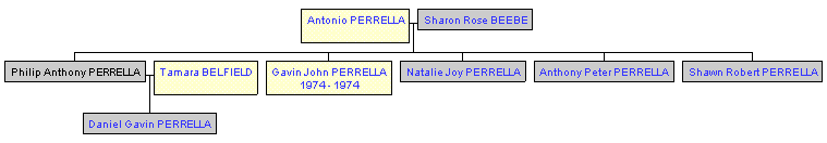 Mini tree diagram