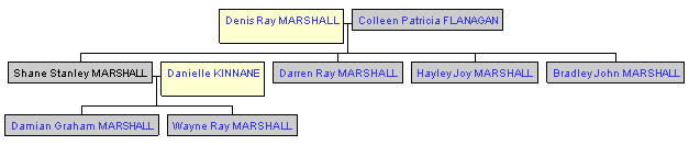 Mini tree diagram