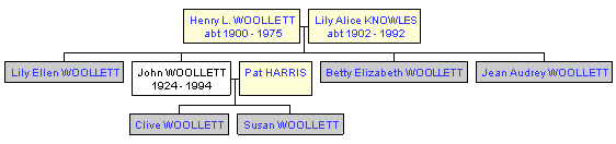 Mini tree diagram