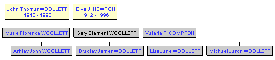 Mini tree diagram