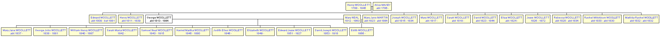 Mini tree diagram