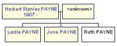 Mini tree diagram
