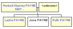 Mini tree diagram