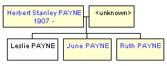 Mini tree diagram