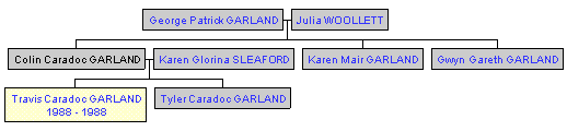 Mini tree diagram