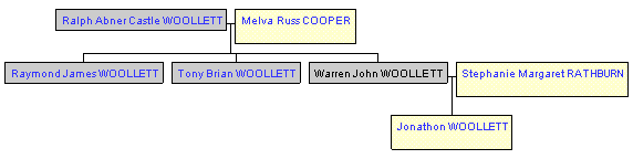 Mini tree diagram