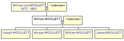 Mini tree diagram