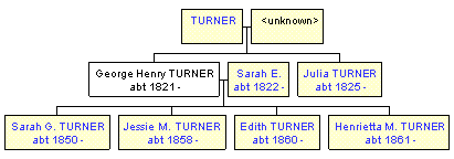 Mini tree diagram