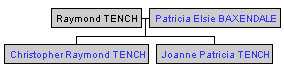Mini tree diagram