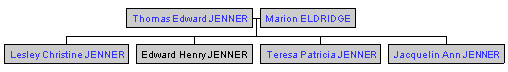 Mini tree diagram