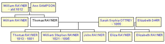 Mini tree diagram